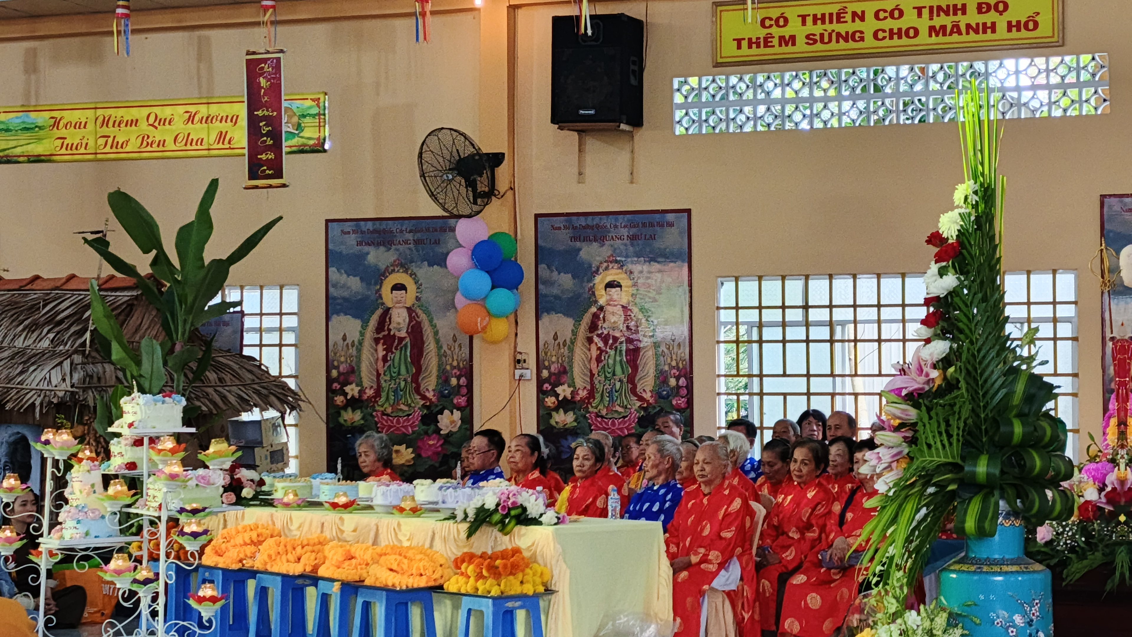 Hình số 10