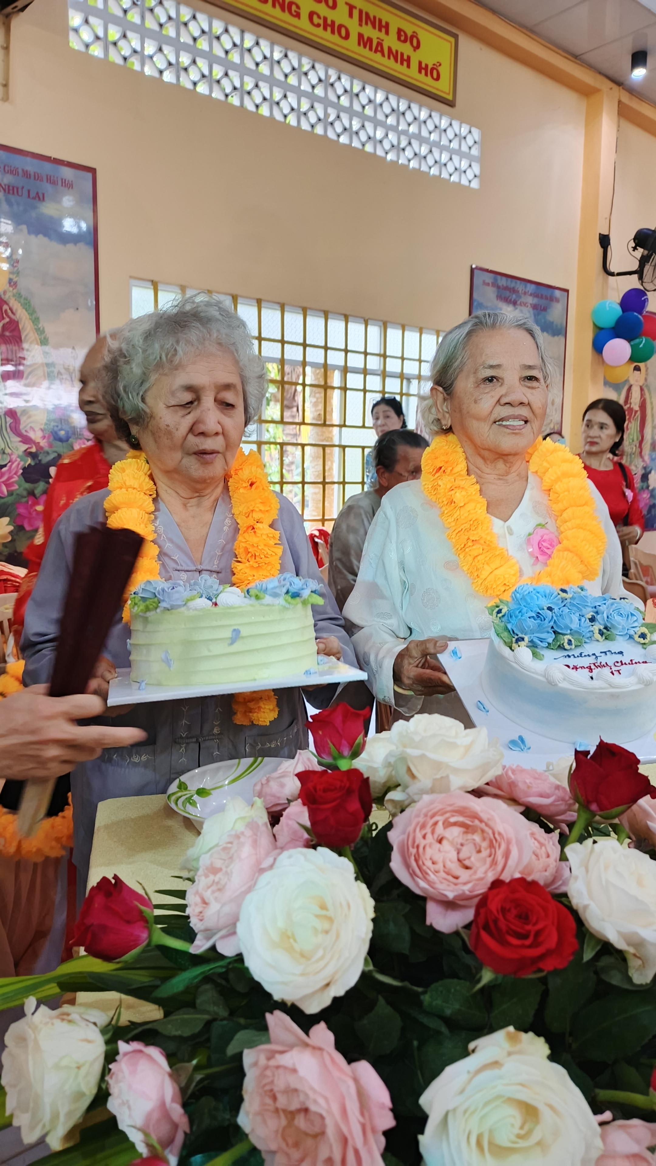 Hình số 15