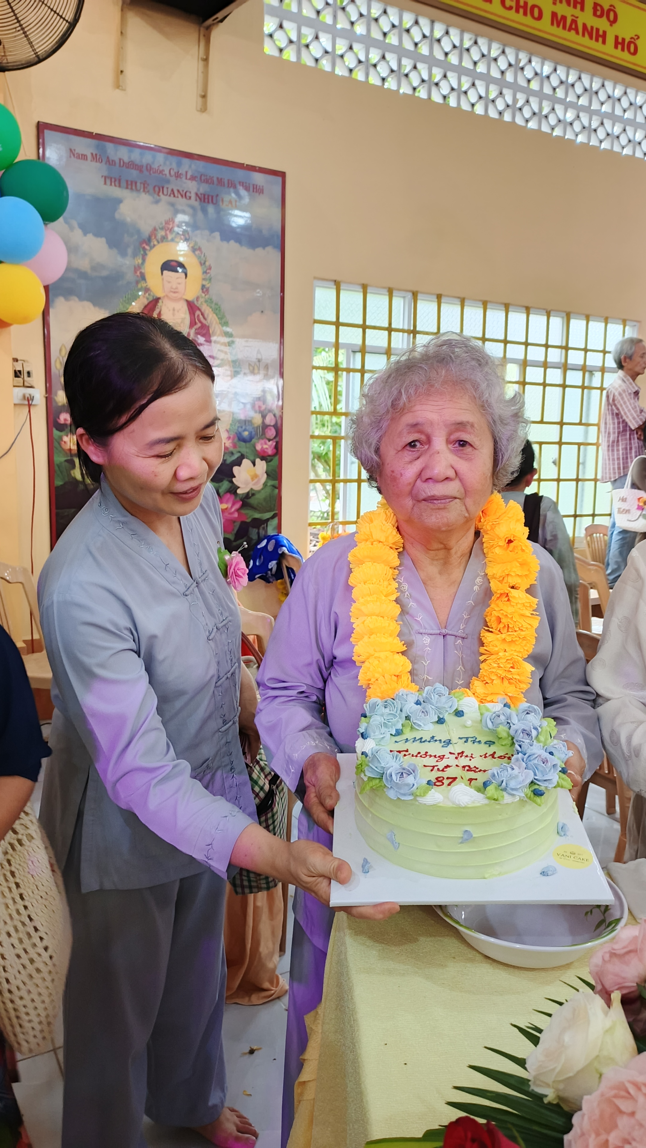 Hình số 16