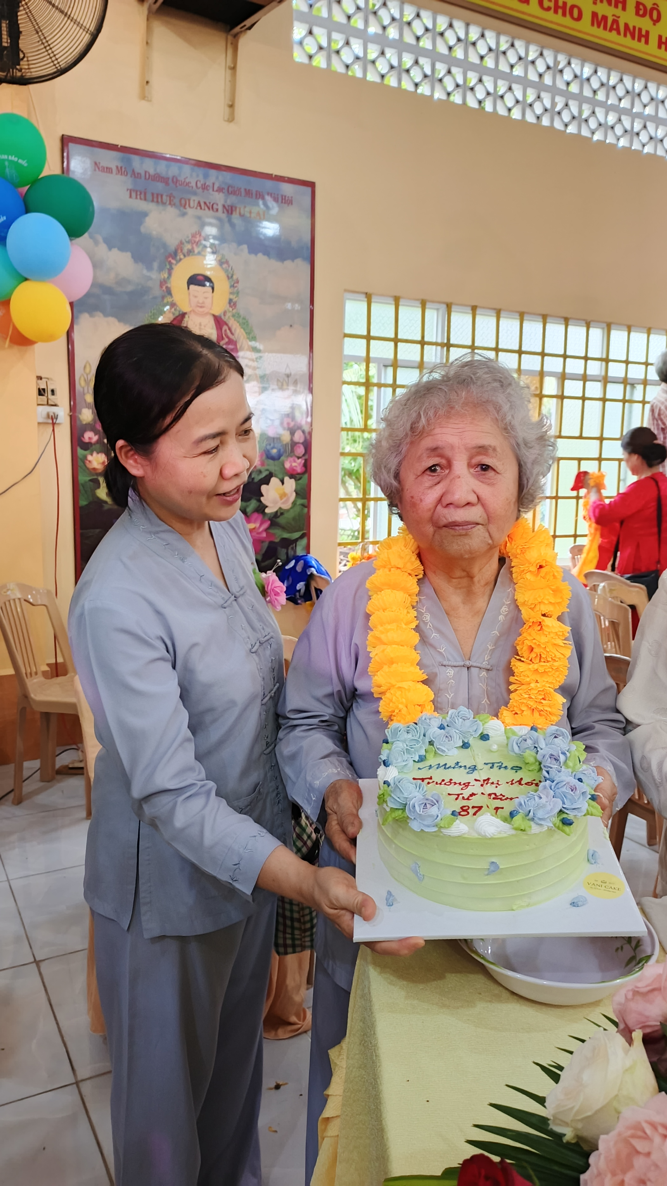 Hình số 17