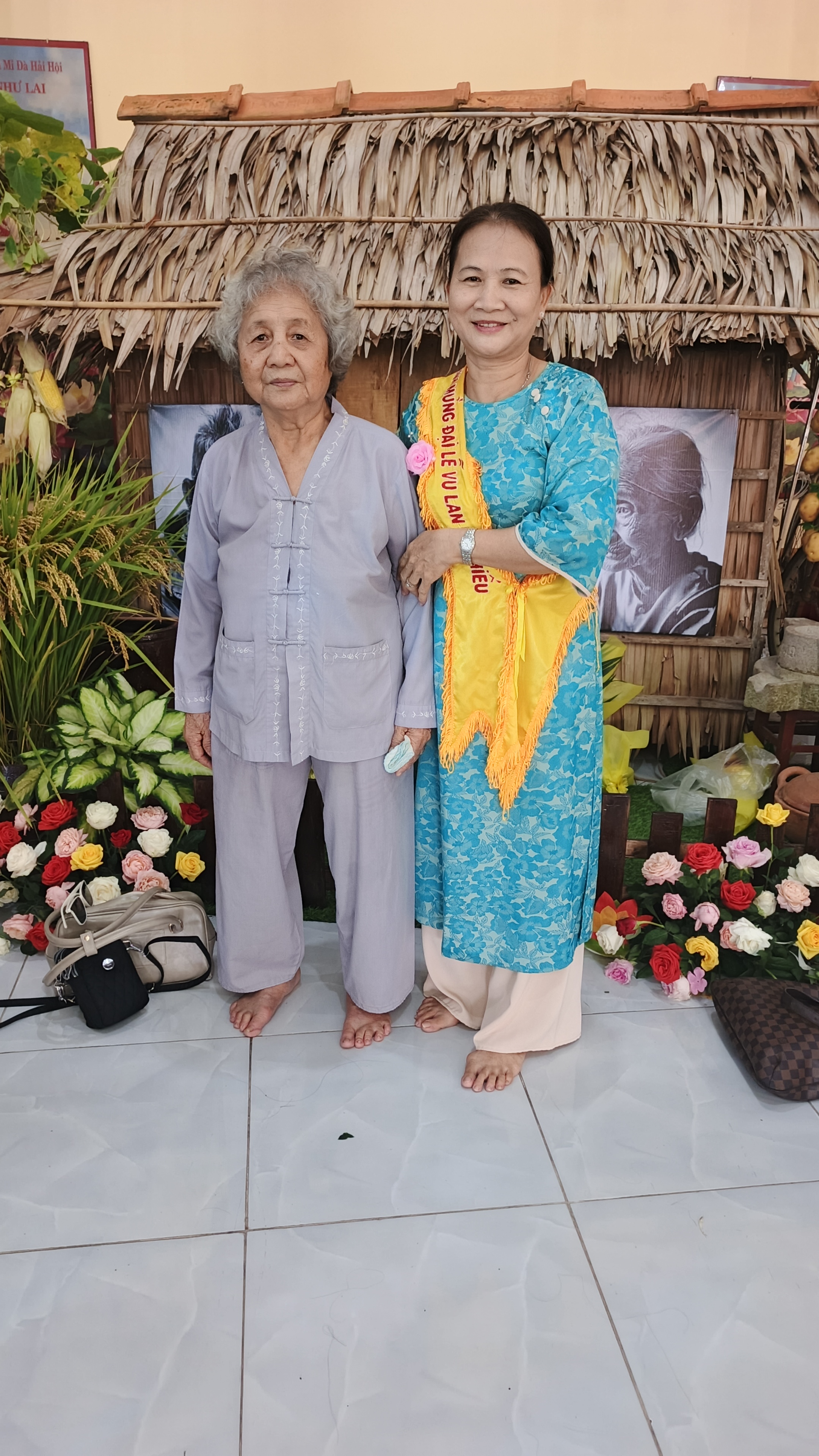 Hình số 29