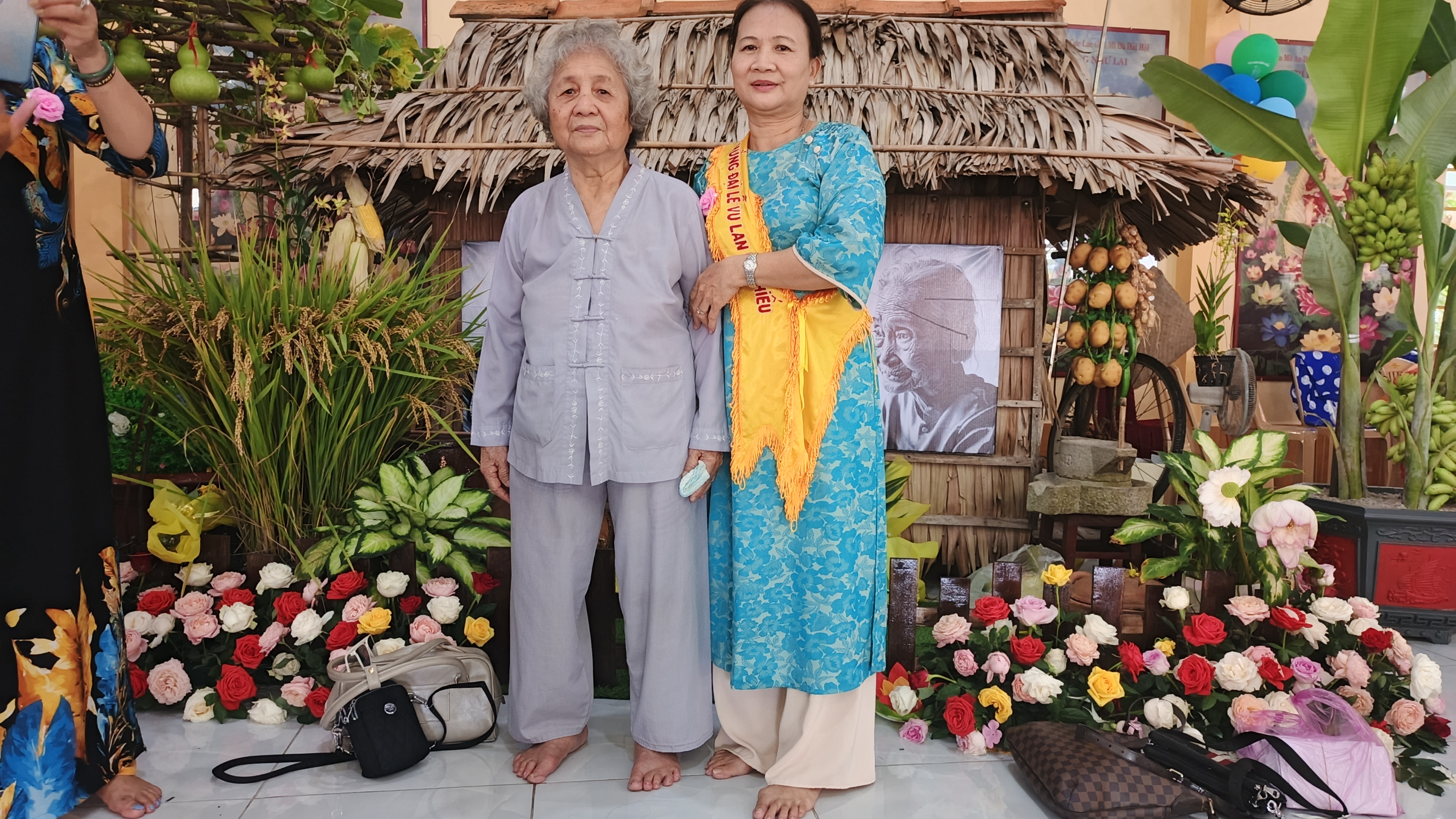 Hình số 31