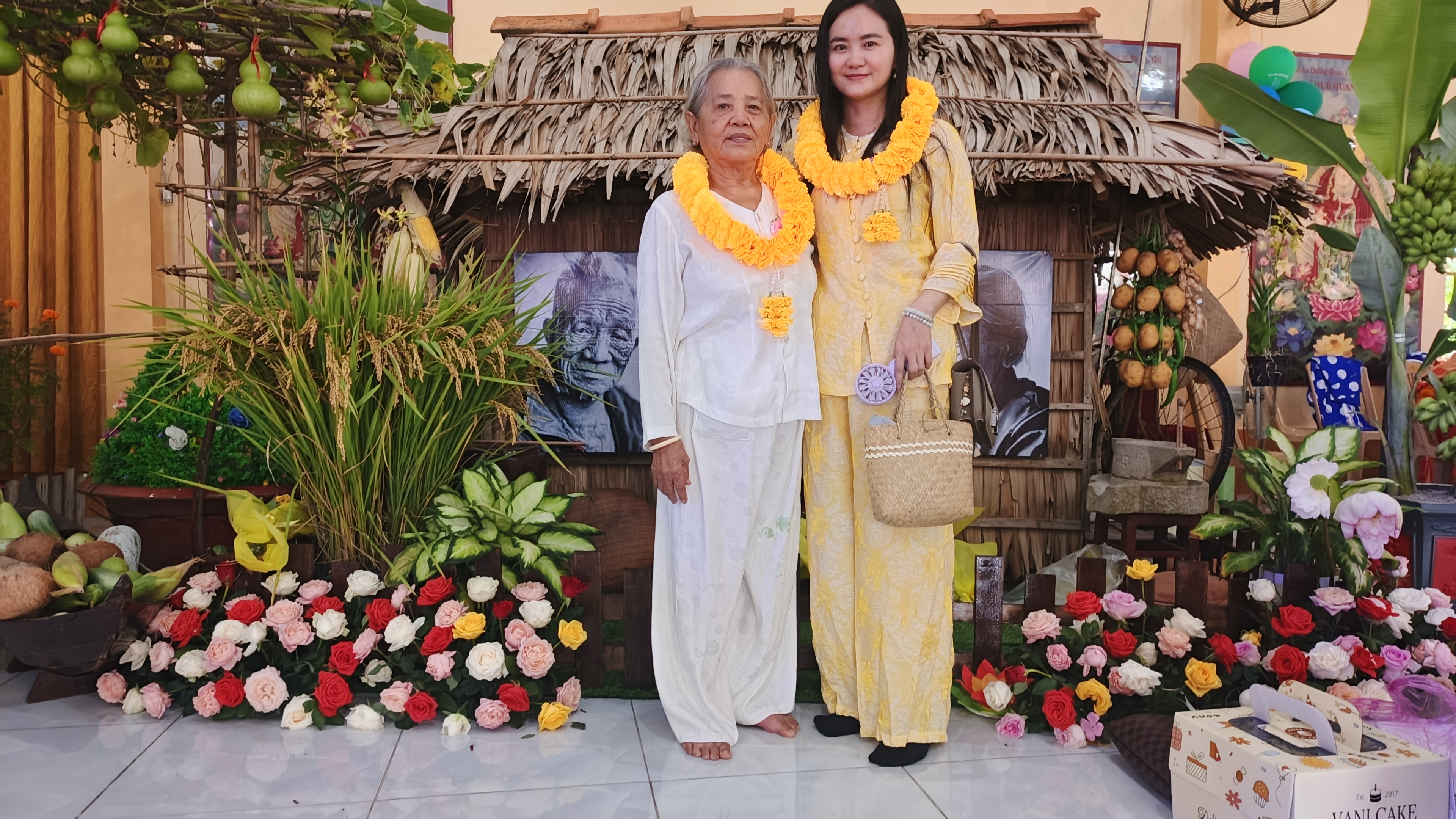 Hình số 33