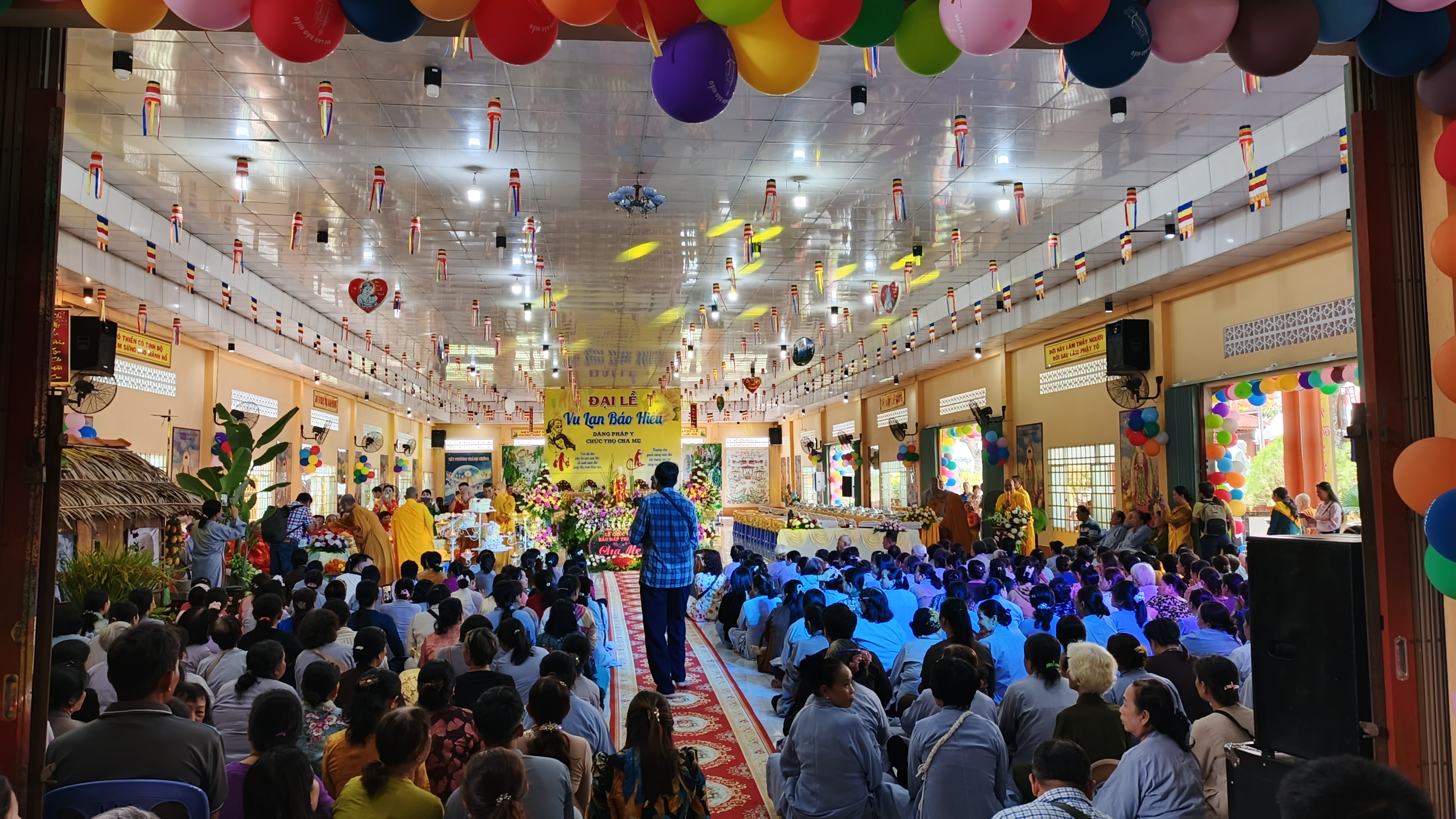 Hình số 6